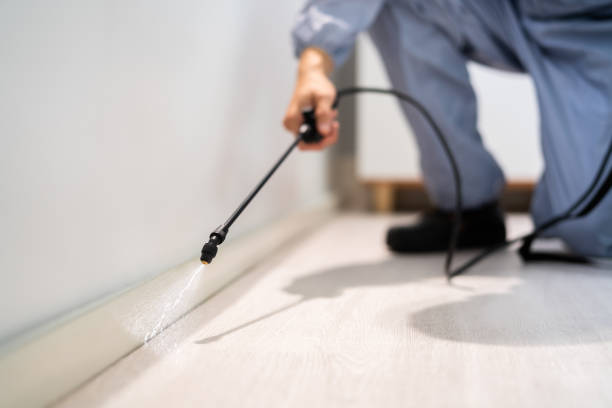 Licensed Pest Control service in McMinnville, TN - Show Me Pest Control
