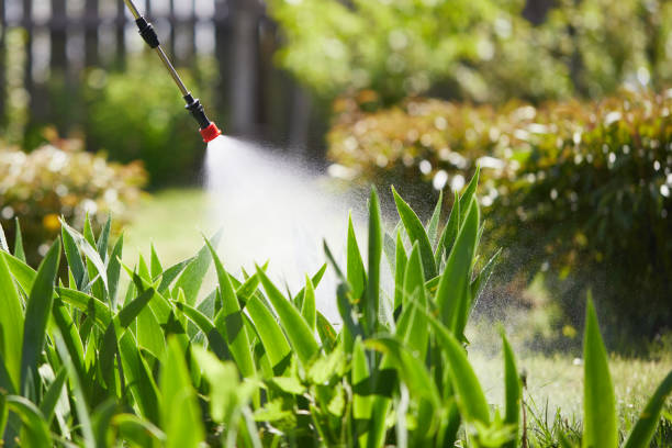 24/7 Emergency Ant Control experts in McMinnville, TN