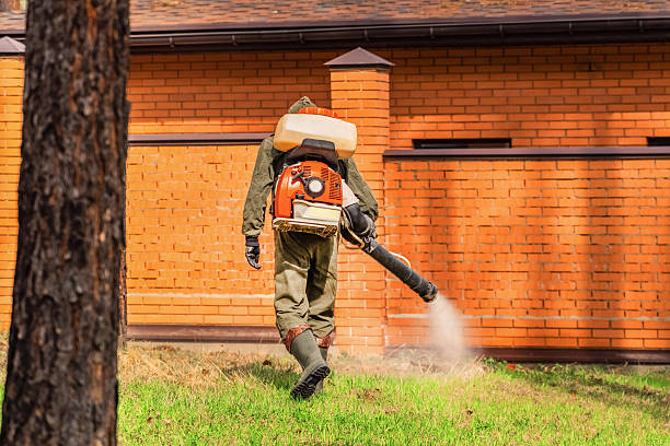 Top rated local Ant Control specialists in McMinnville, TN